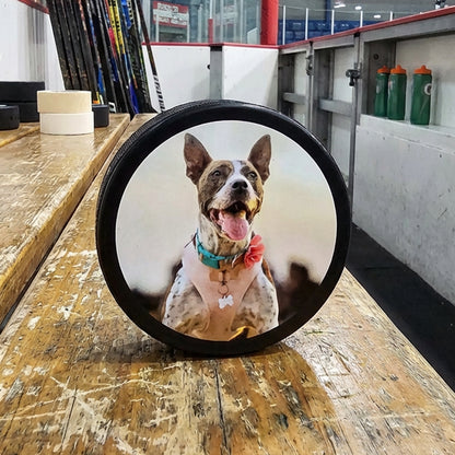 Custom Hockey Puck