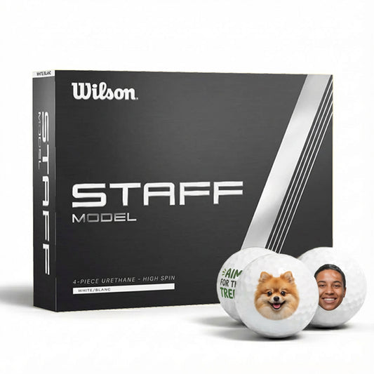 Wilson Staff Model